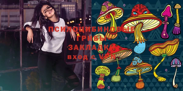 винт Заводоуковск